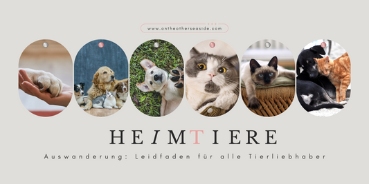 Auswandern nach Mallorca mit Hund, Katze und co: Ein umfassender Leitfaden für Tierliebhaber