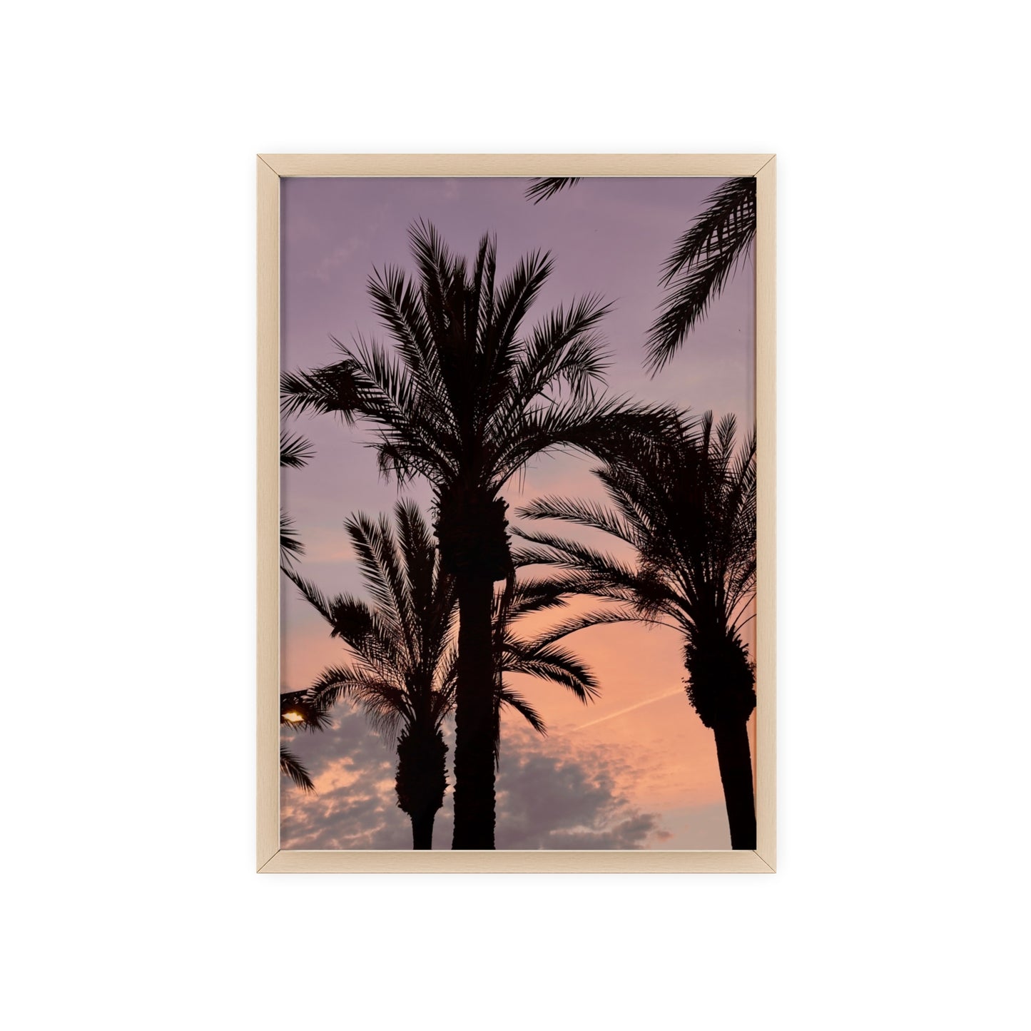 Palmen & Sonnenuntergang auf Mallorca