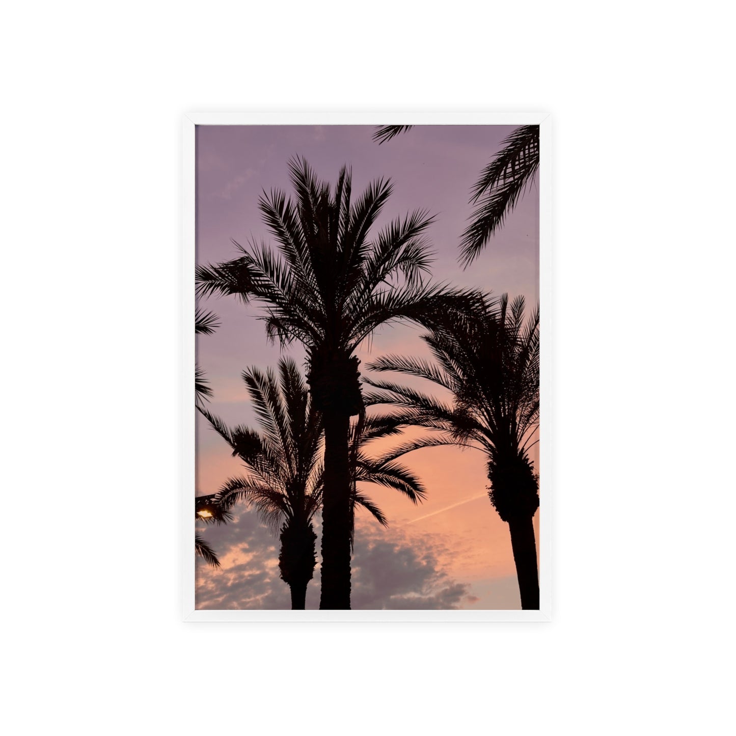 Palmen & Sonnenuntergang auf Mallorca