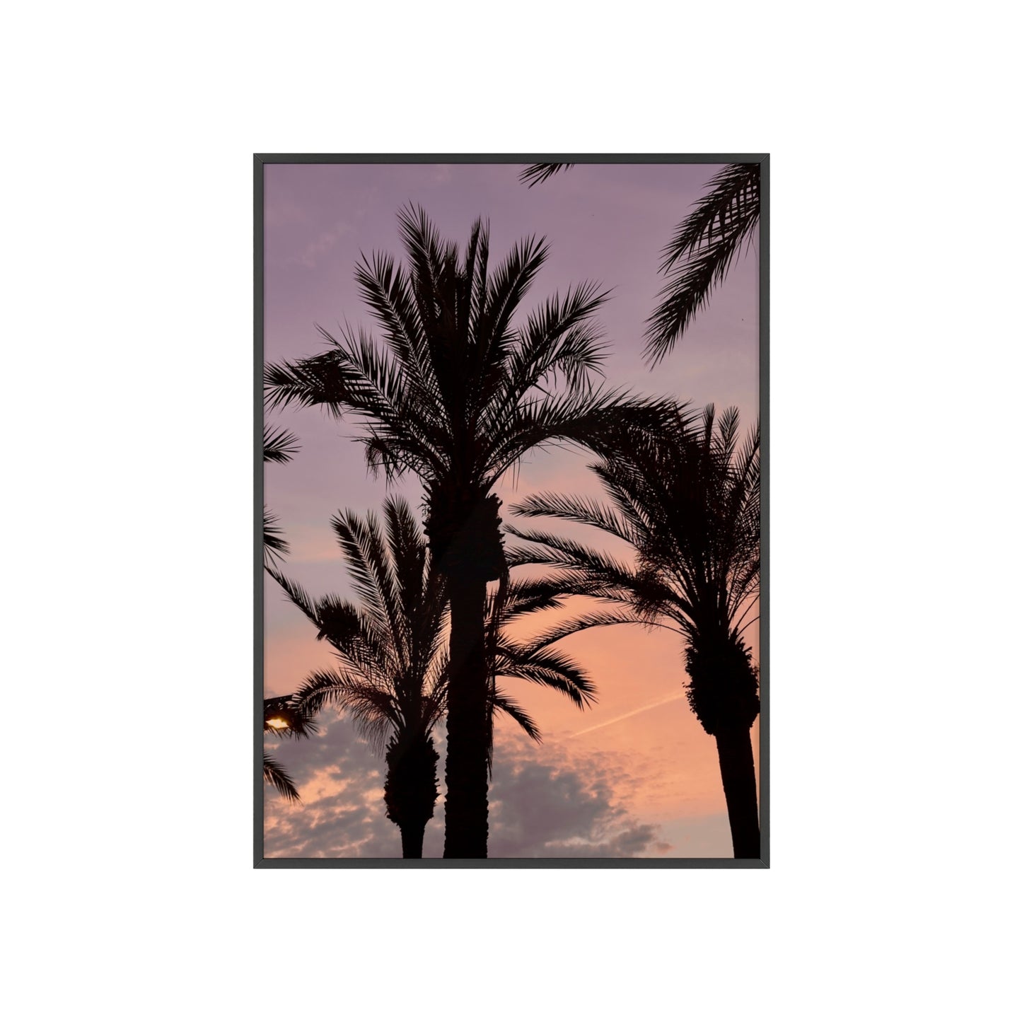 Palmen & Sonnenuntergang auf Mallorca