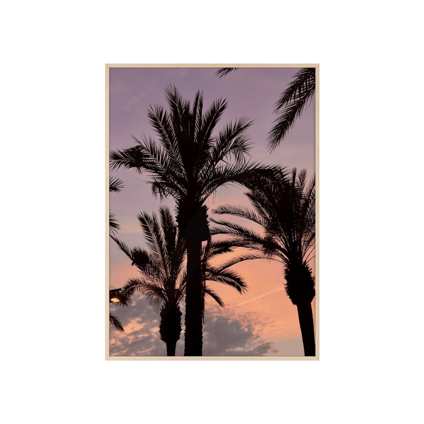Palmen & Sonnenuntergang auf Mallorca