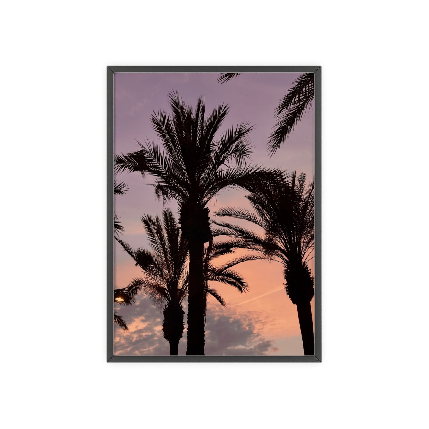 Palmen & Sonnenuntergang auf Mallorca
