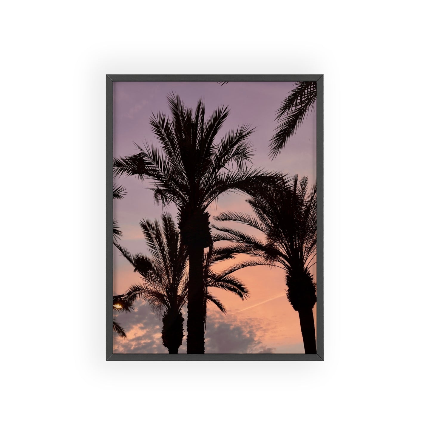 Palmen & Sonnenuntergang auf Mallorca