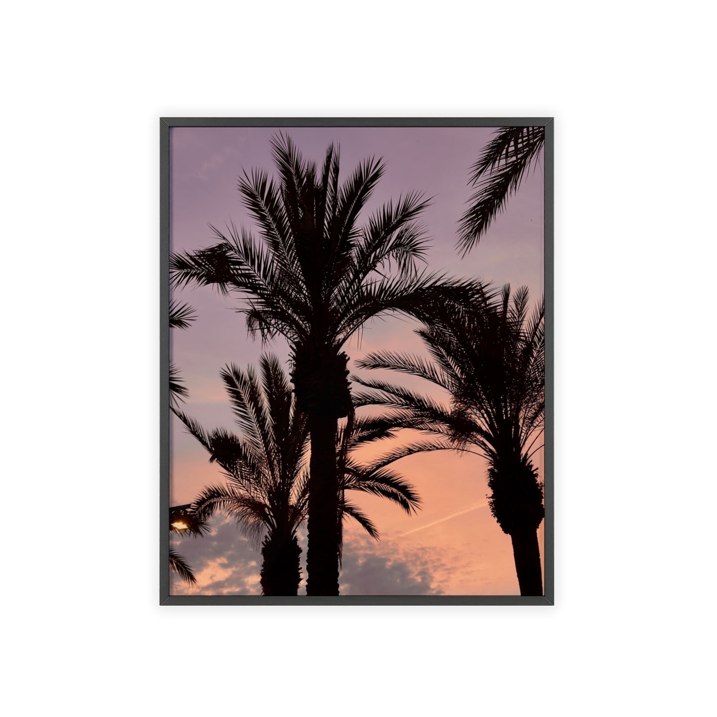 Palmen & Sonnenuntergang auf Mallorca