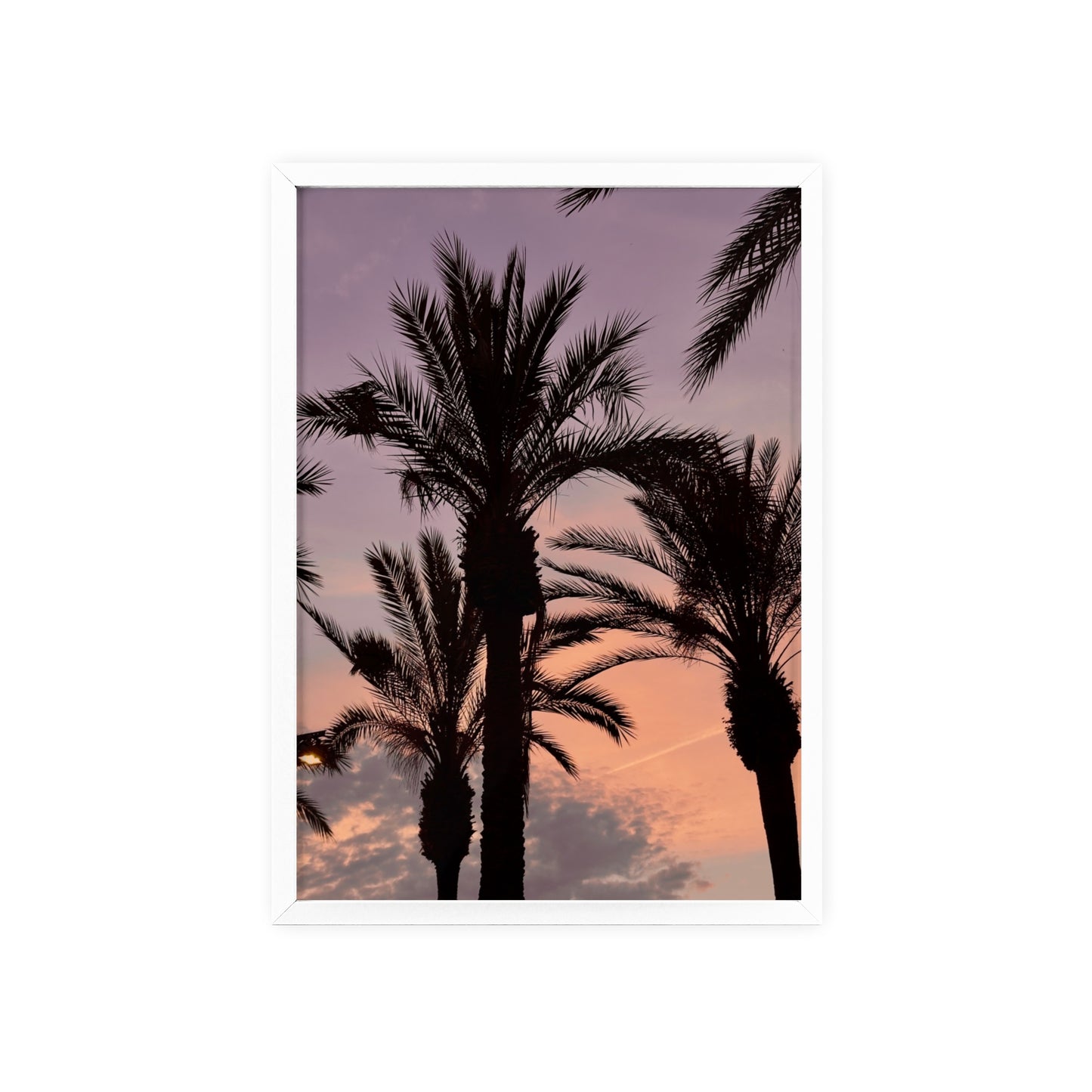 Palmen & Sonnenuntergang auf Mallorca