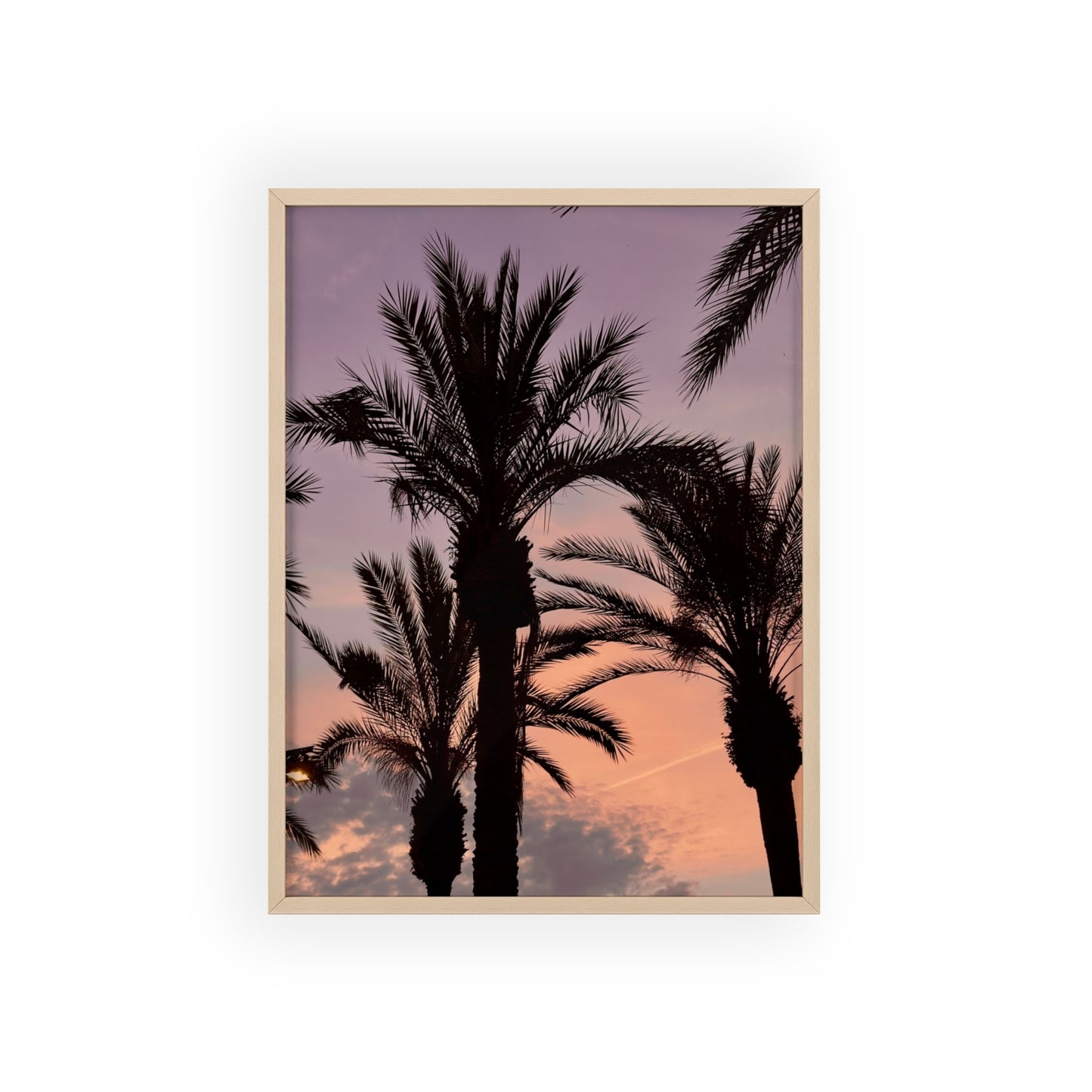 Palmen & Sonnenuntergang auf Mallorca