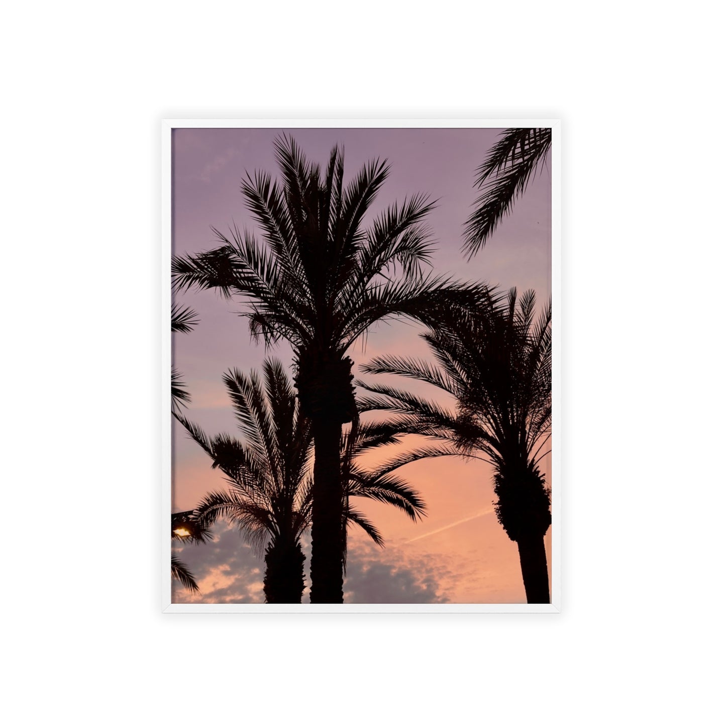 Palmen & Sonnenuntergang auf Mallorca