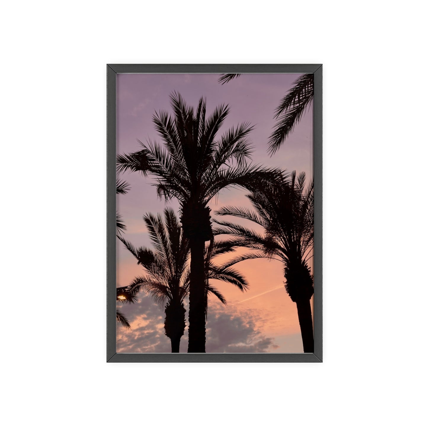 Palmen & Sonnenuntergang auf Mallorca