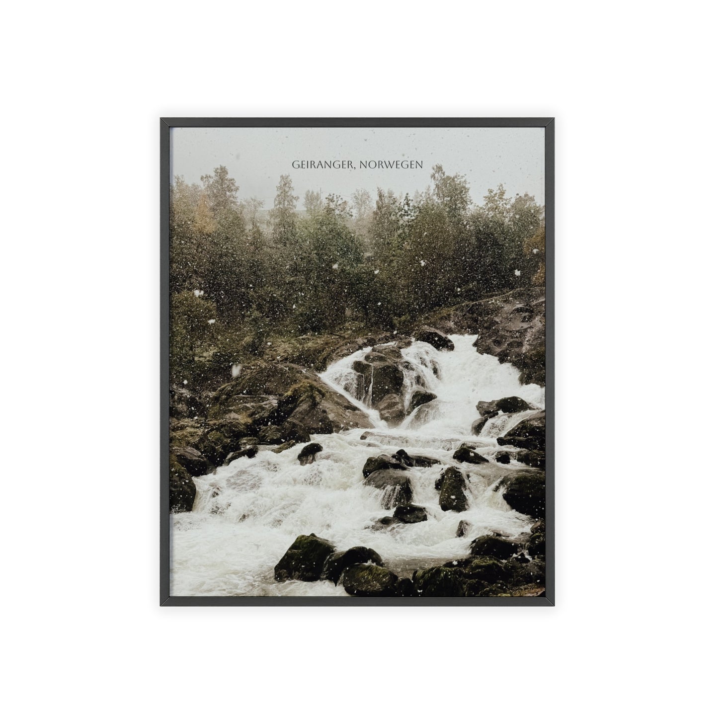 Posters with Wooden Frame