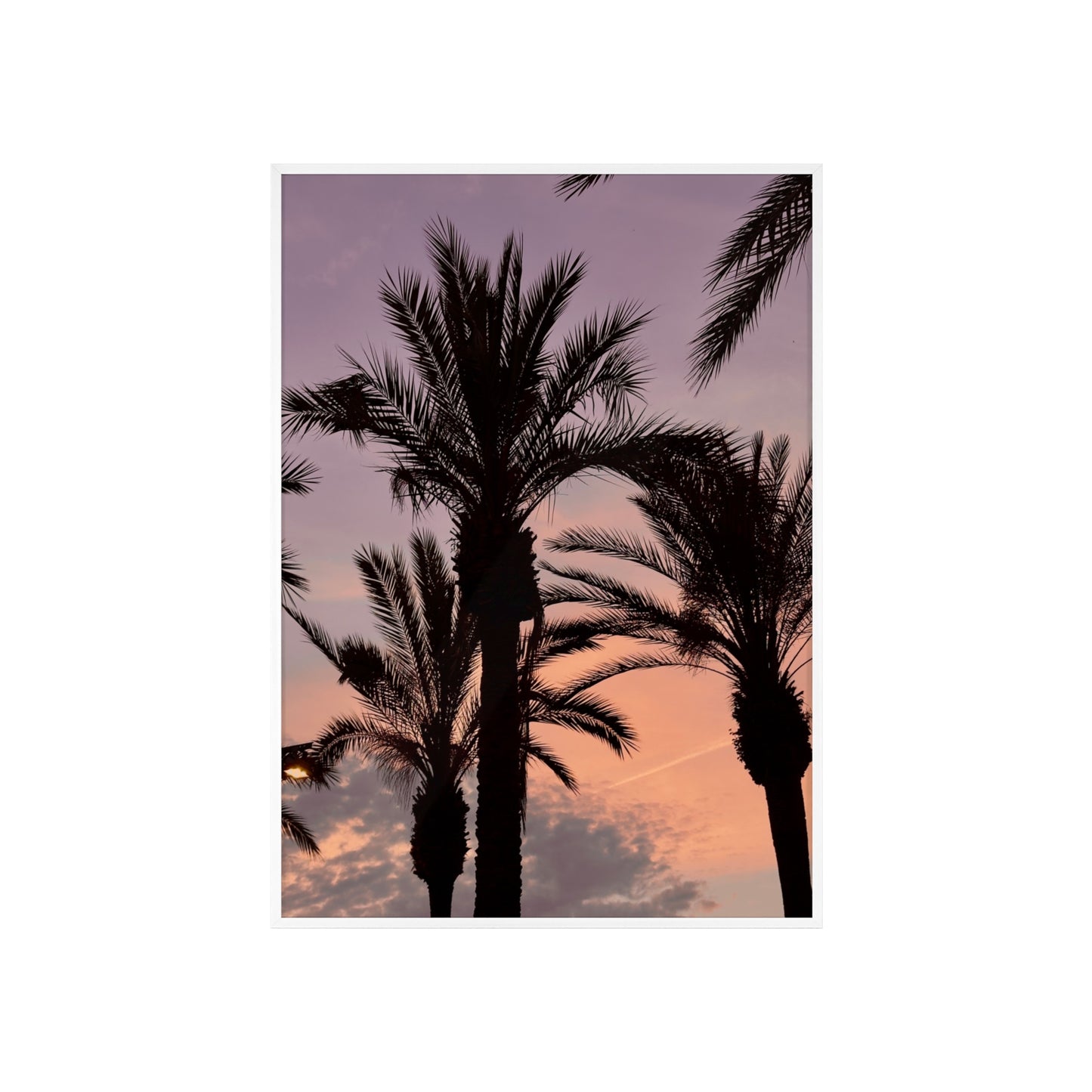 Palmen & Sonnenuntergang auf Mallorca