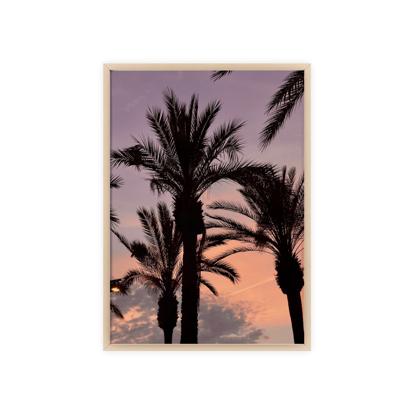 Palmen & Sonnenuntergang auf Mallorca