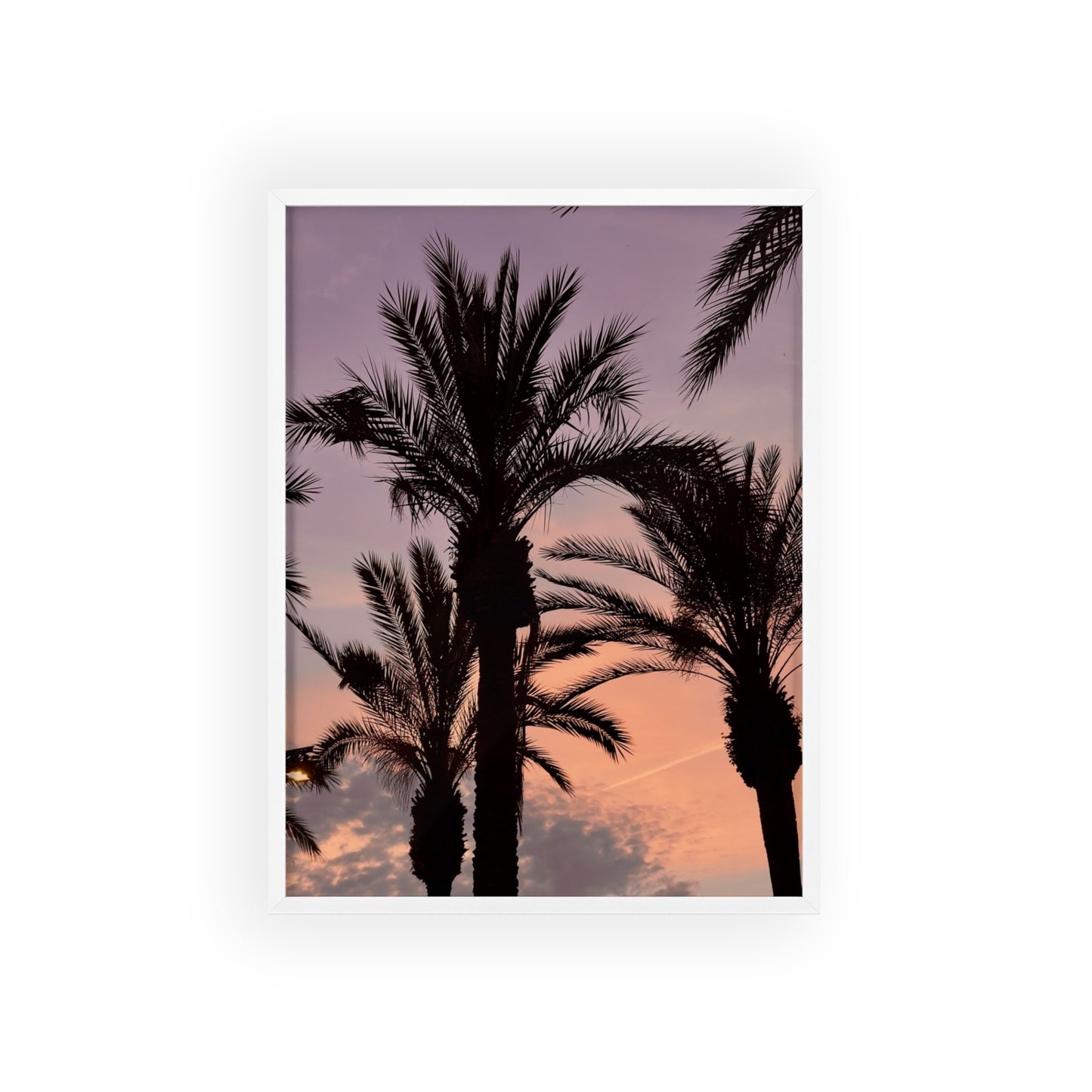 Palmen & Sonnenuntergang auf Mallorca
