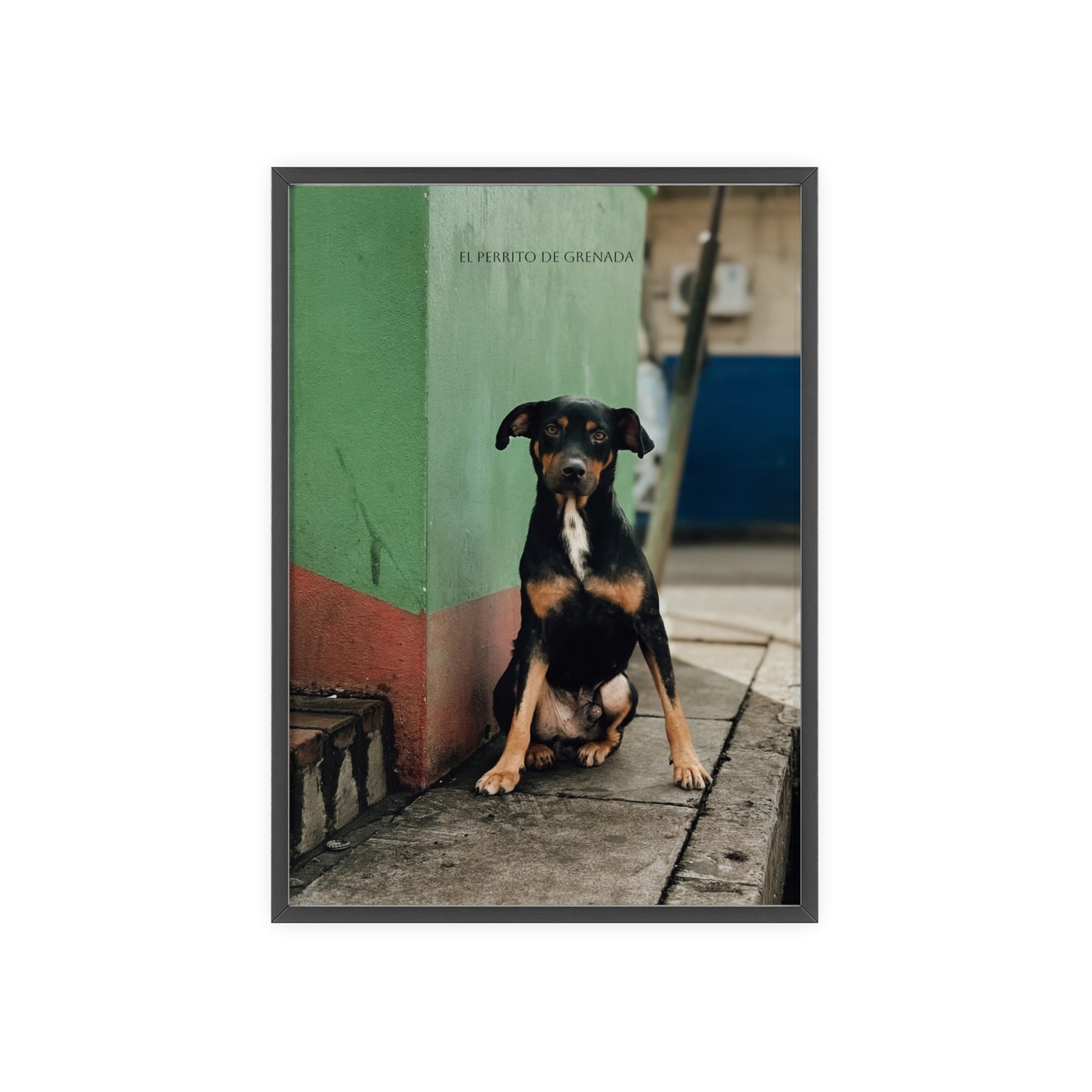 El Perrito De Grenada