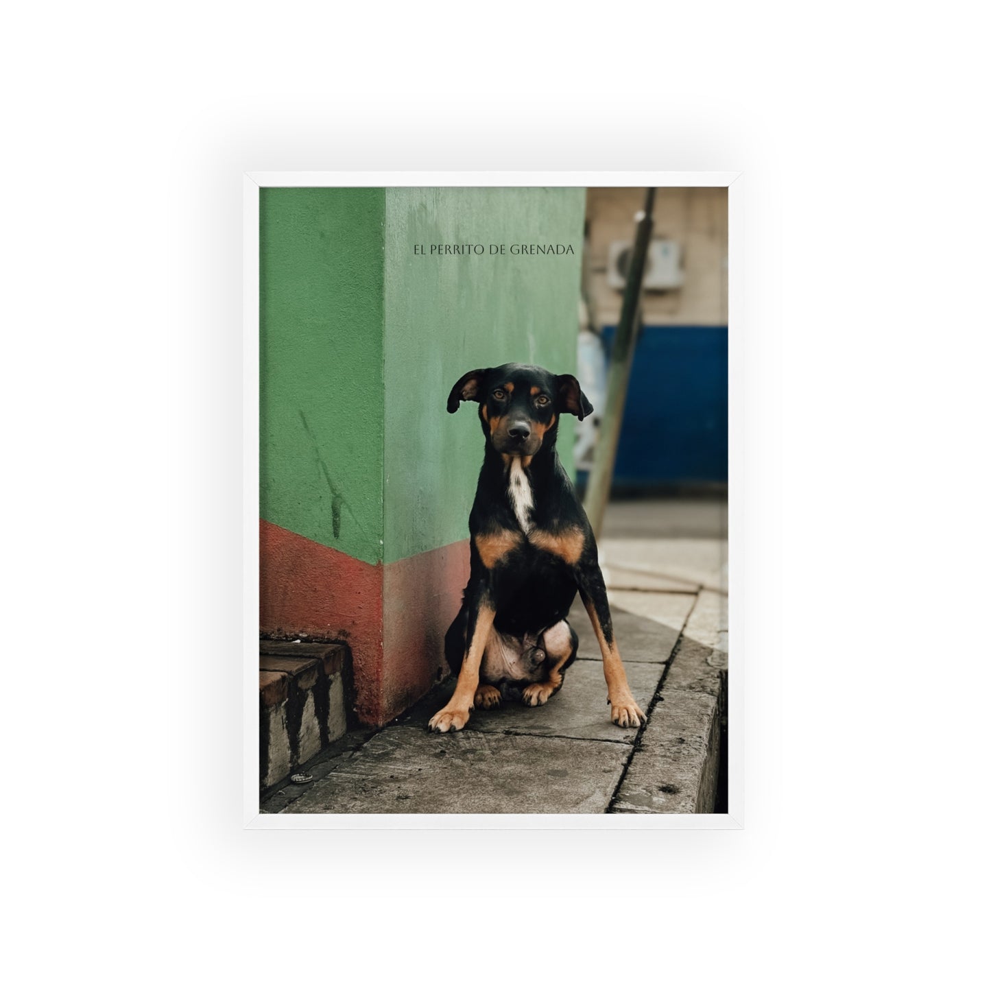 El Perrito De Grenada