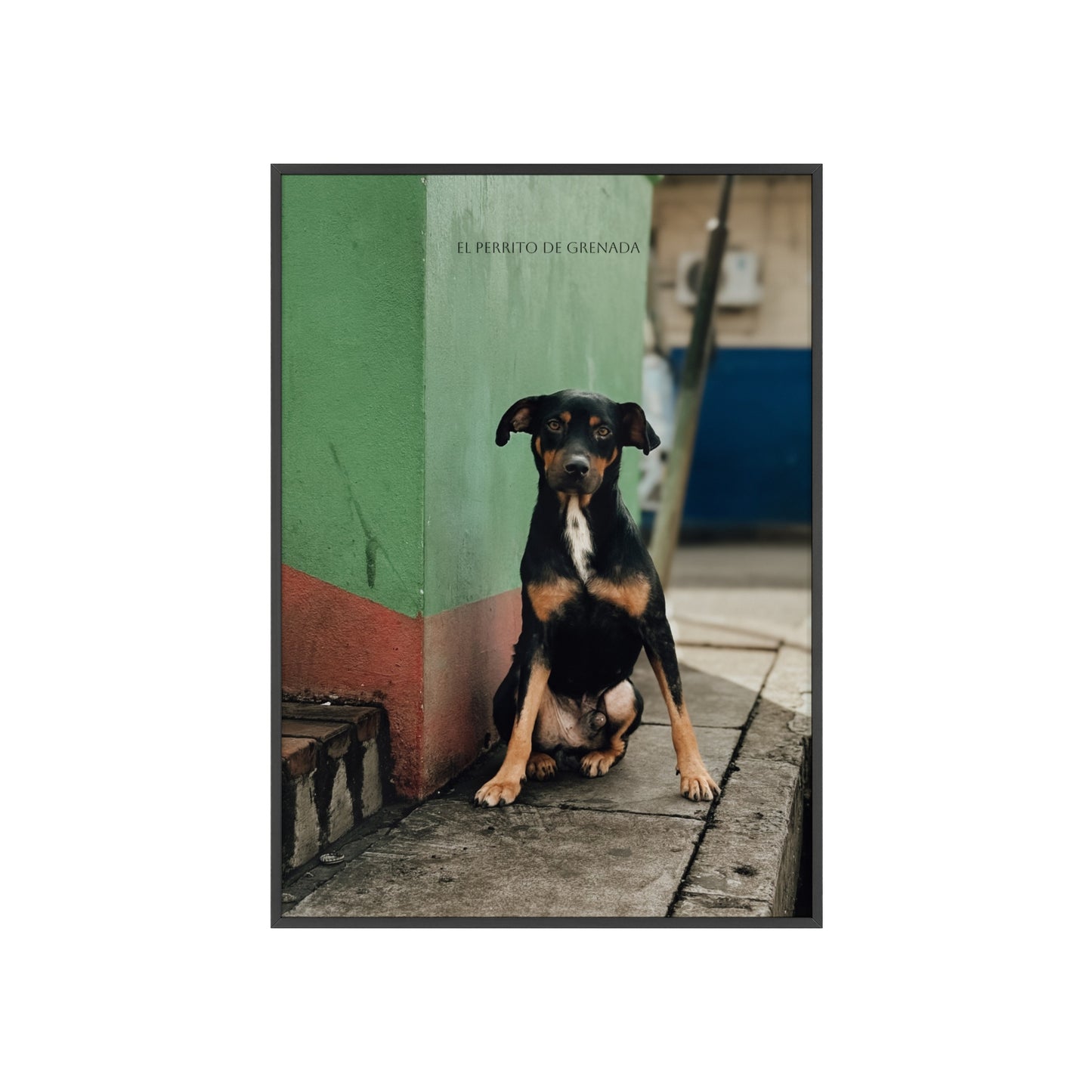 El Perrito De Grenada