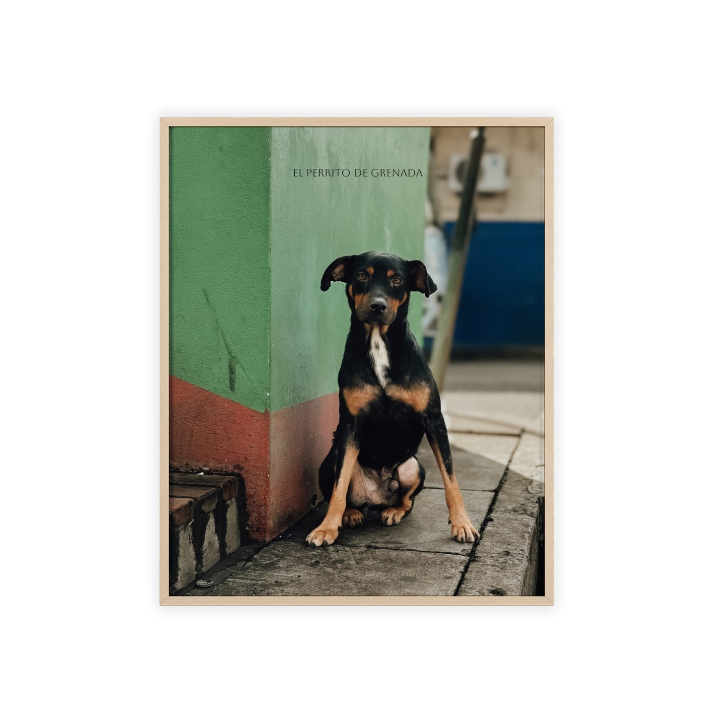 El Perrito De Grenada