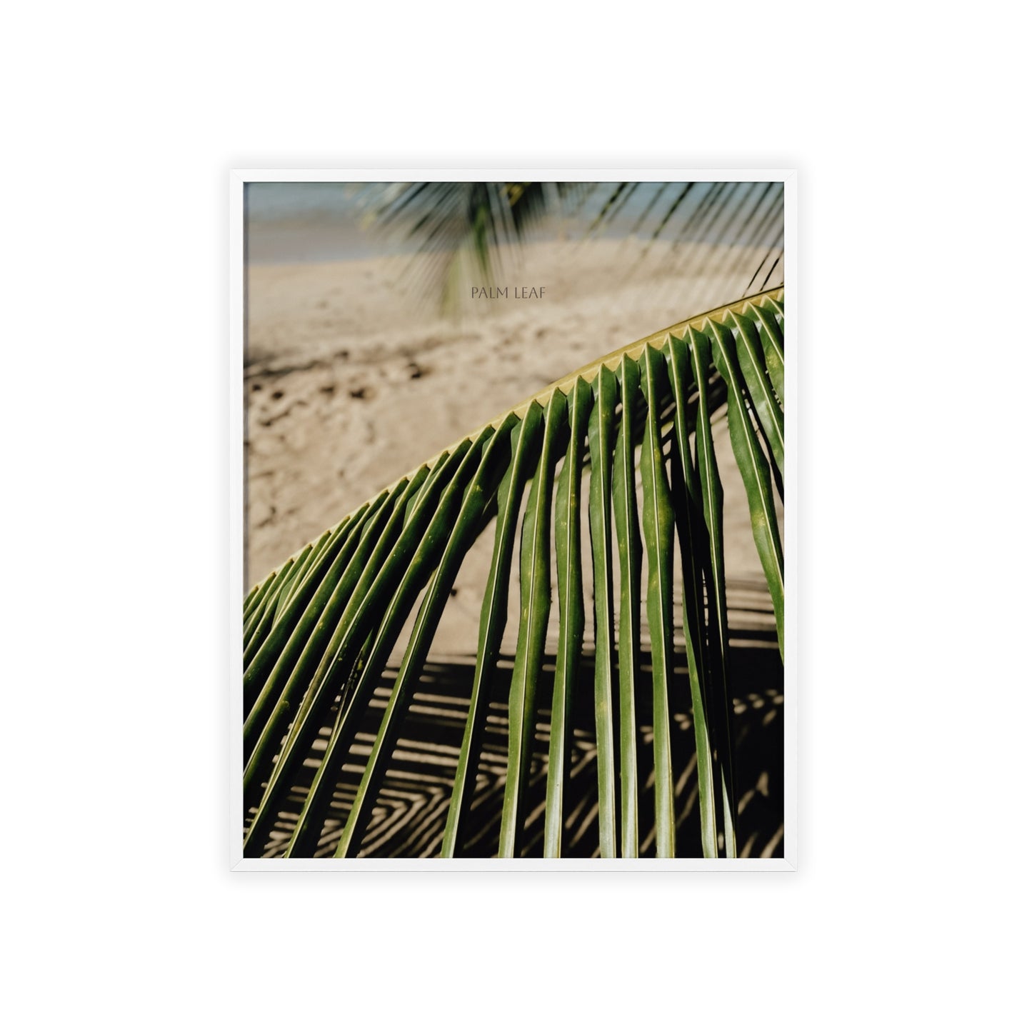 Palm Leaf