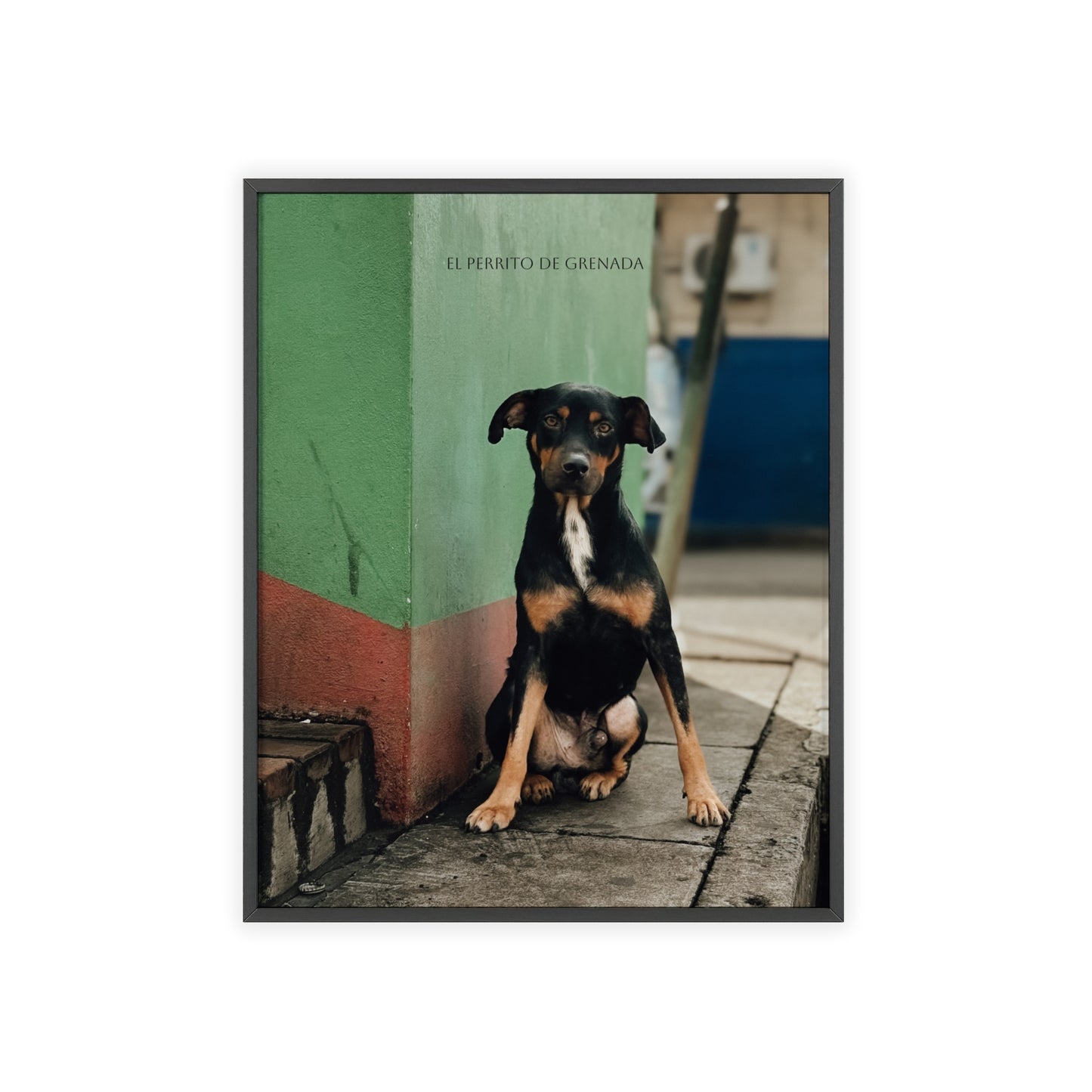 El Perrito De Grenada