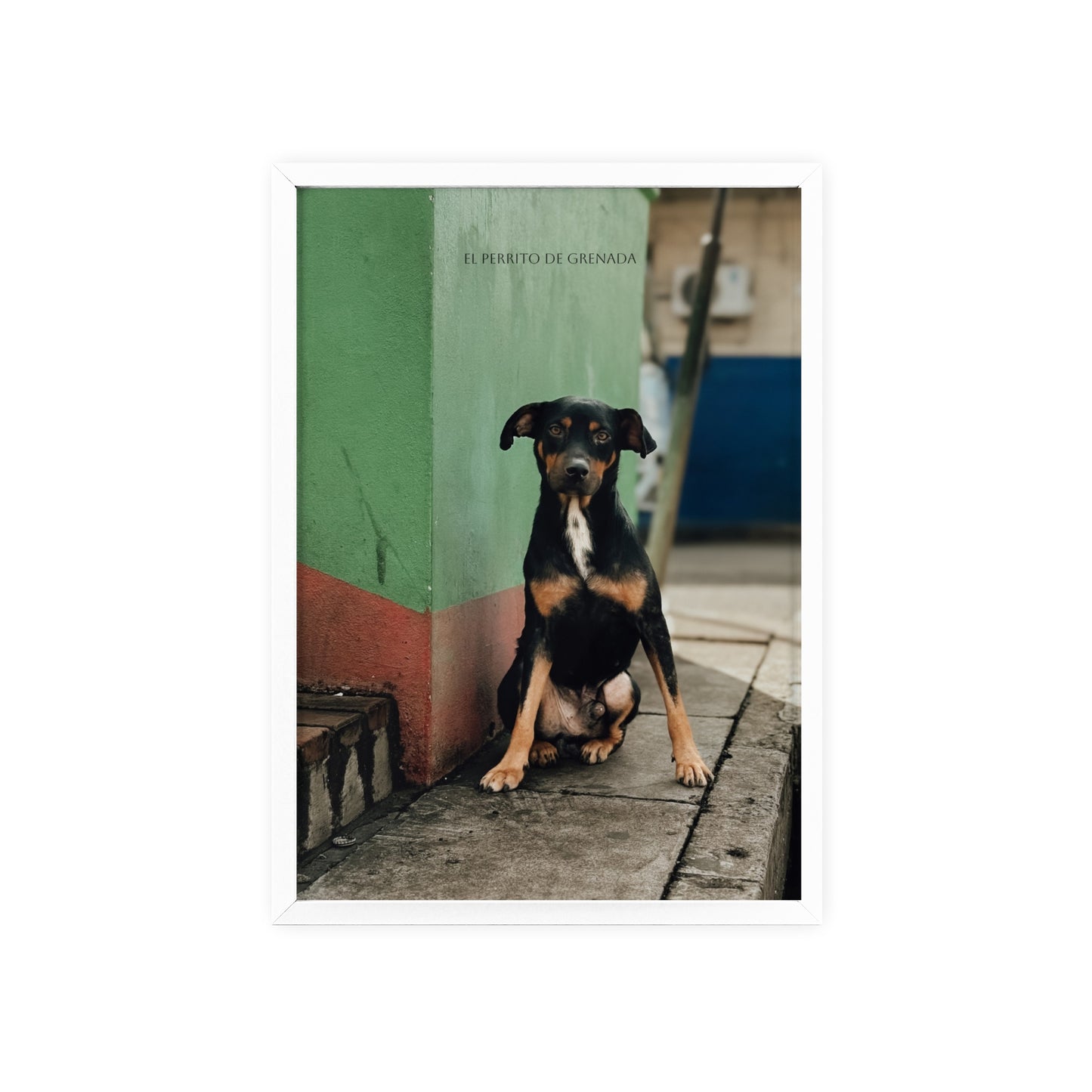 El Perrito De Grenada