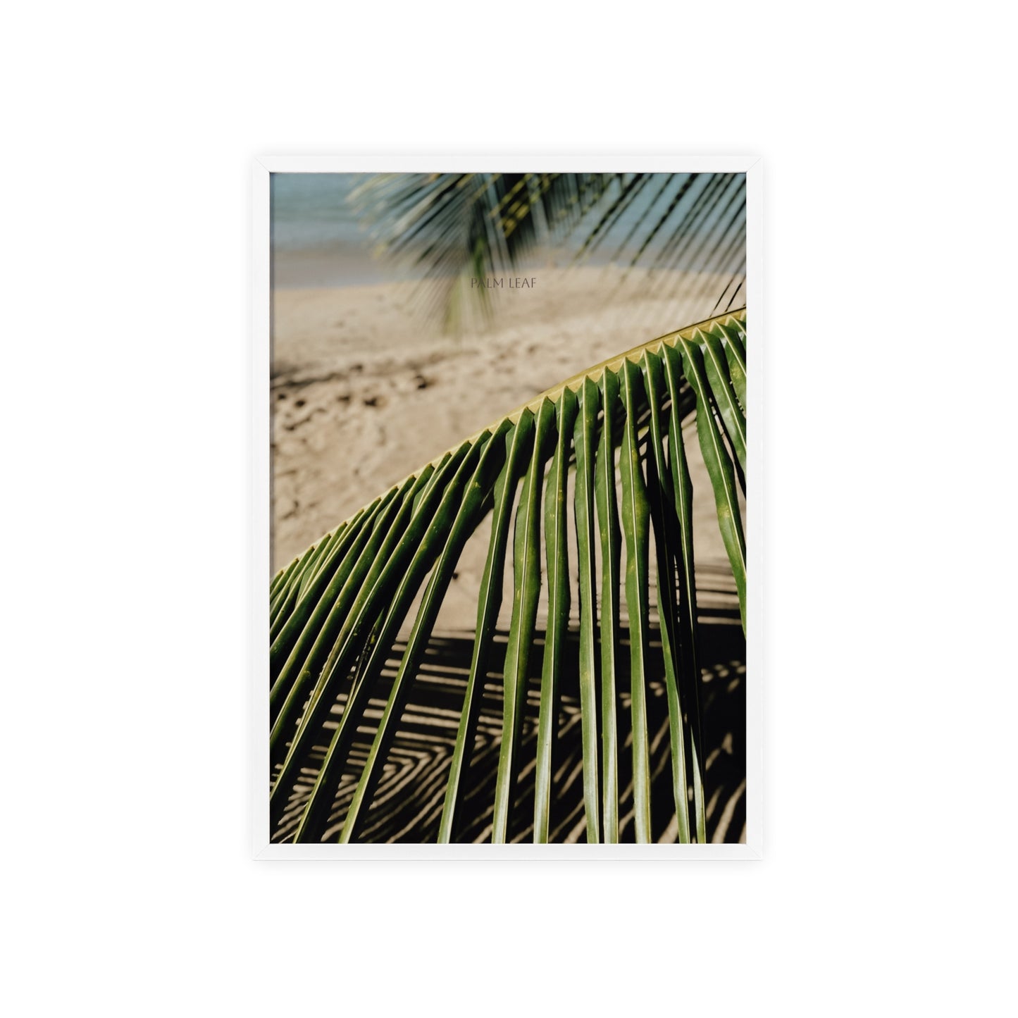 Palm Leaf