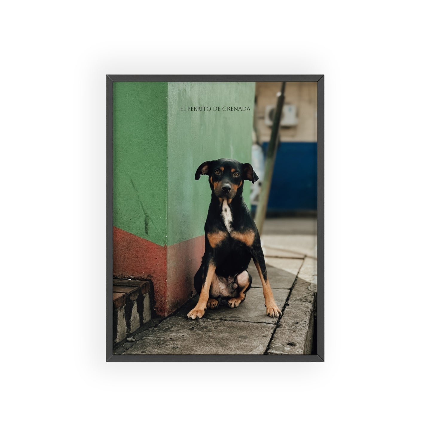 El Perrito De Grenada