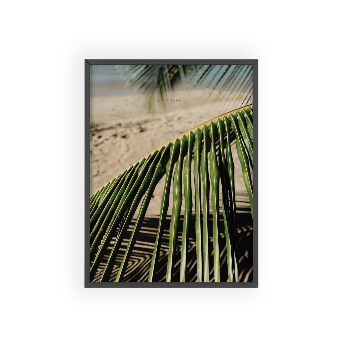 Palm Leaf