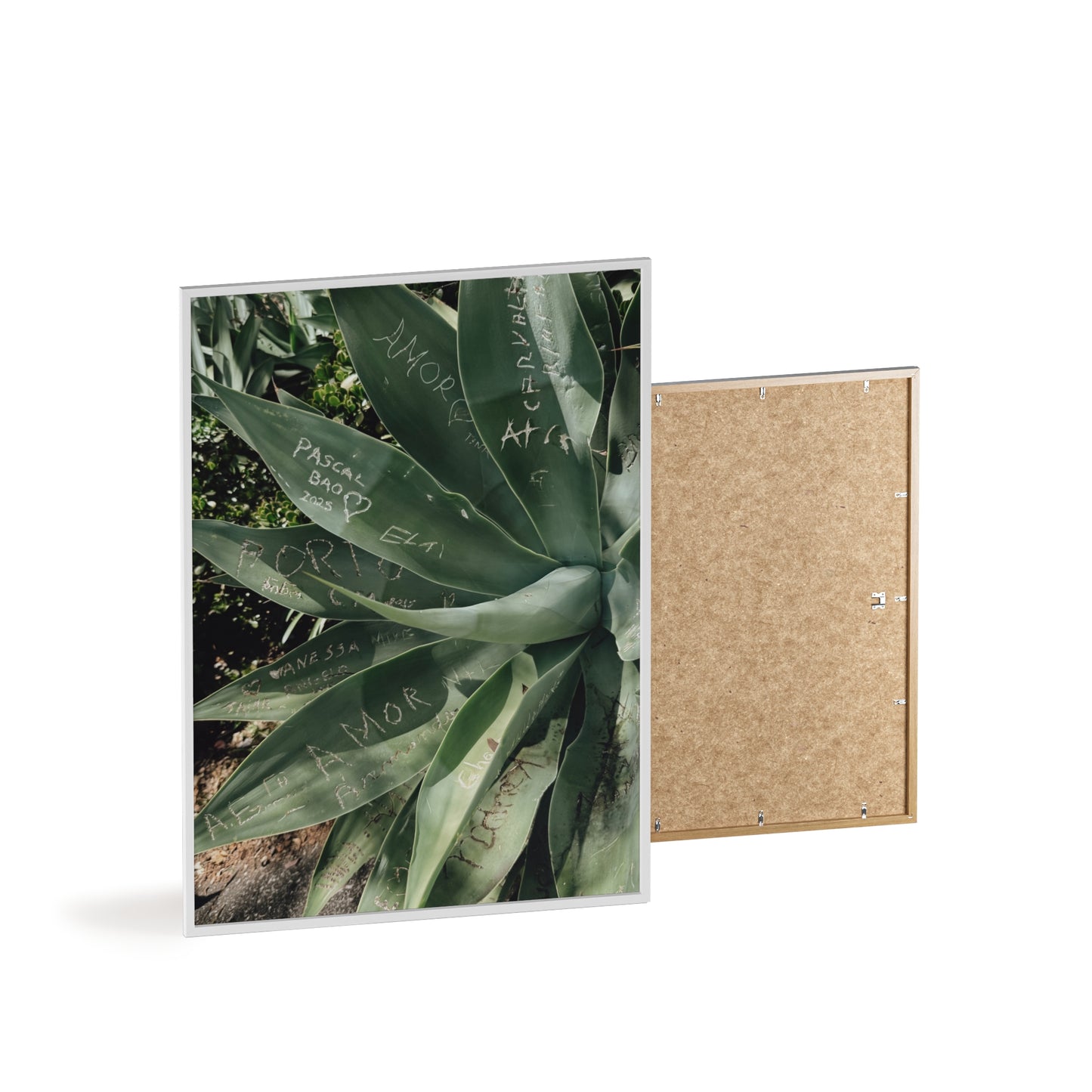 Leaves of Love - Madeira