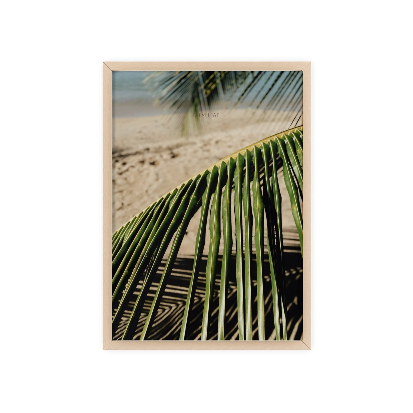 Palm Leaf