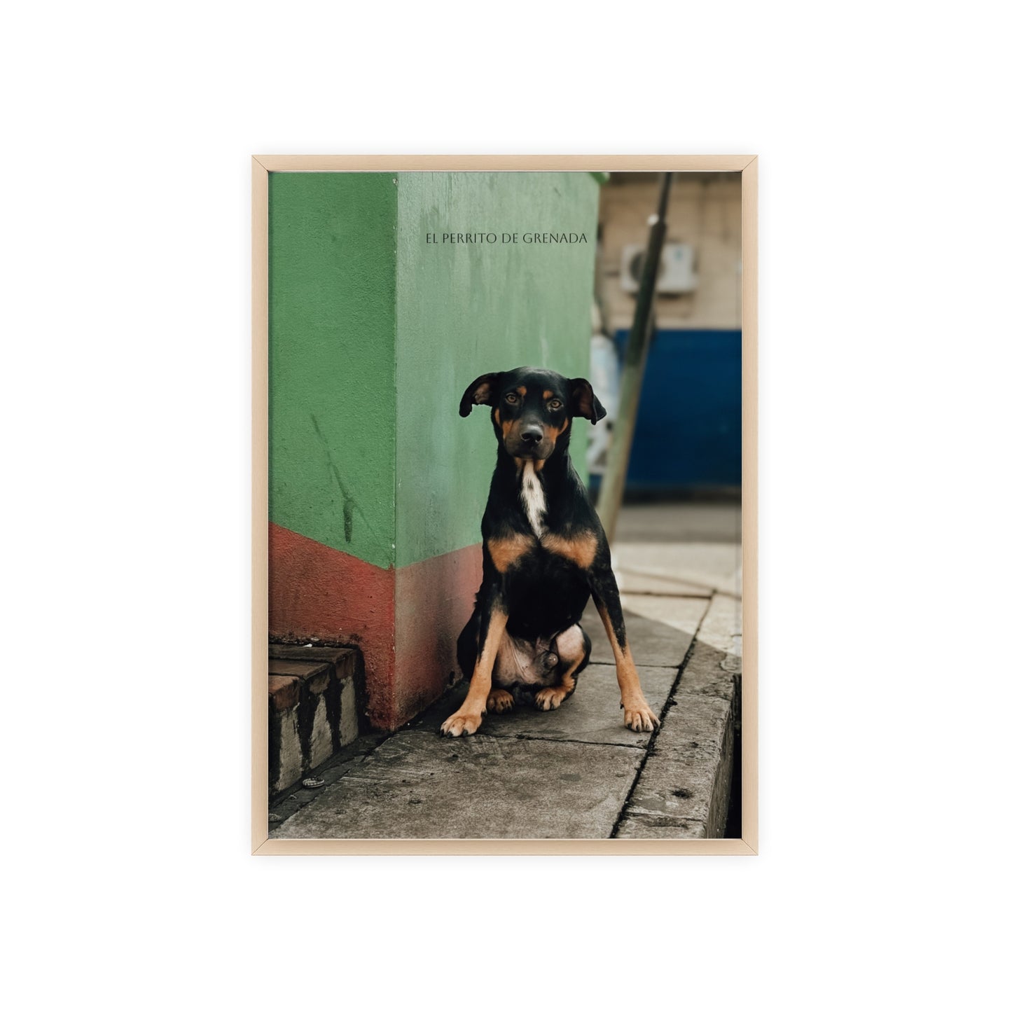 El Perrito De Grenada