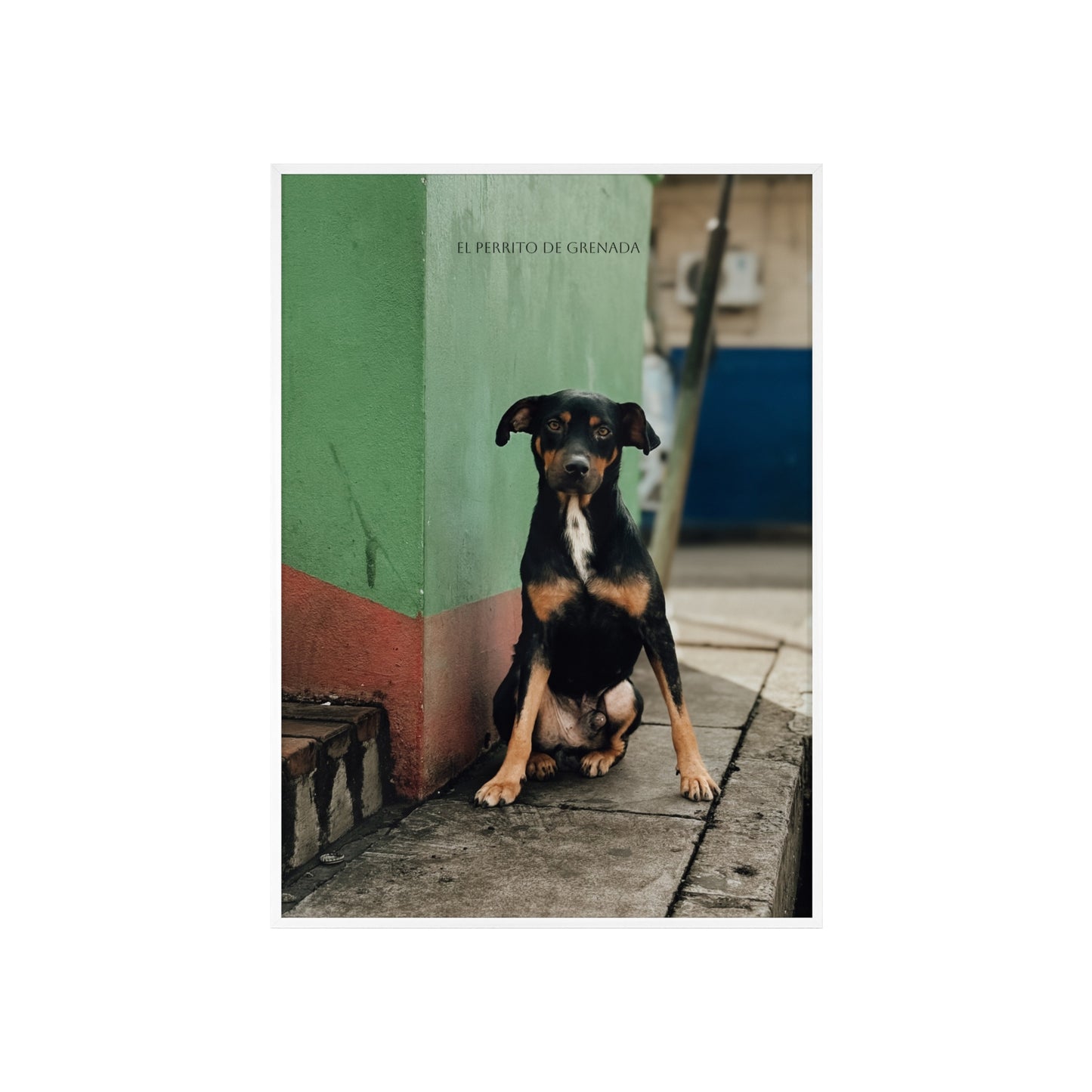 El Perrito De Grenada