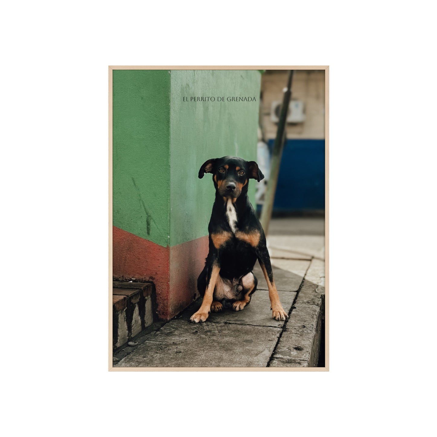 El Perrito De Grenada