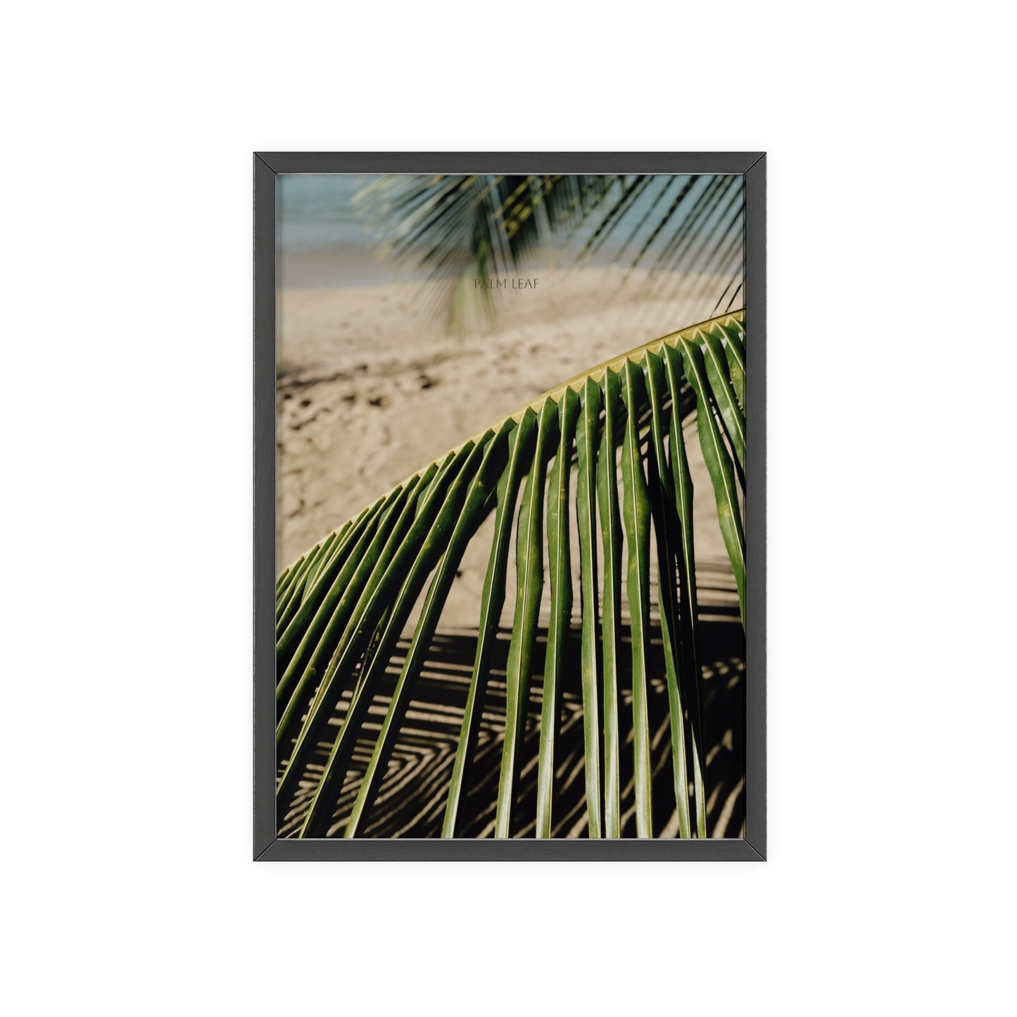 Palm Leaf