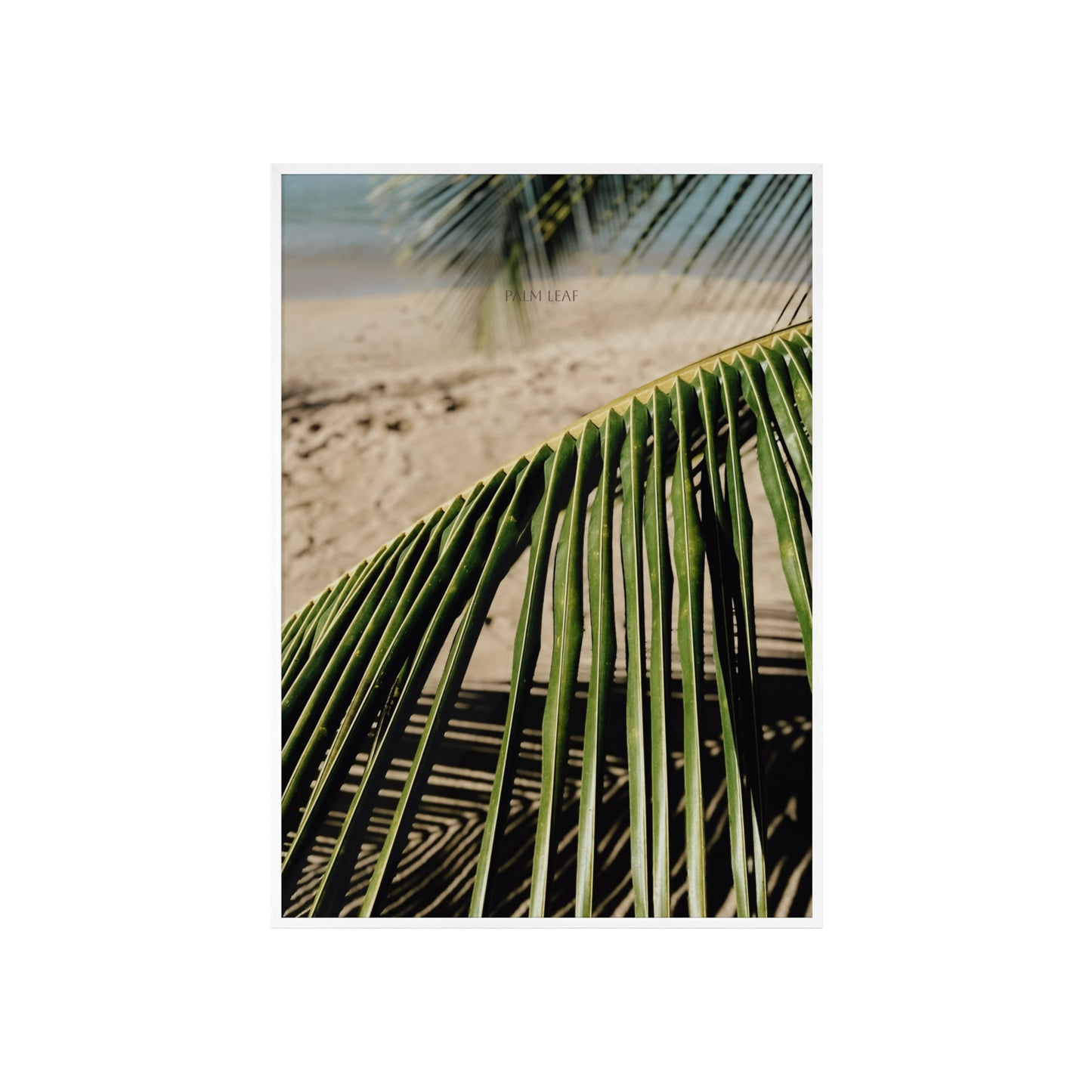 Palm Leaf