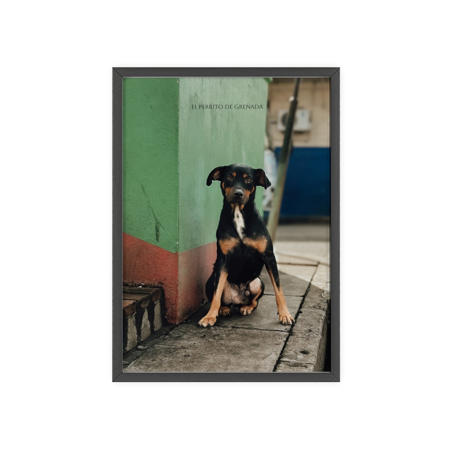 El Perrito De Grenada