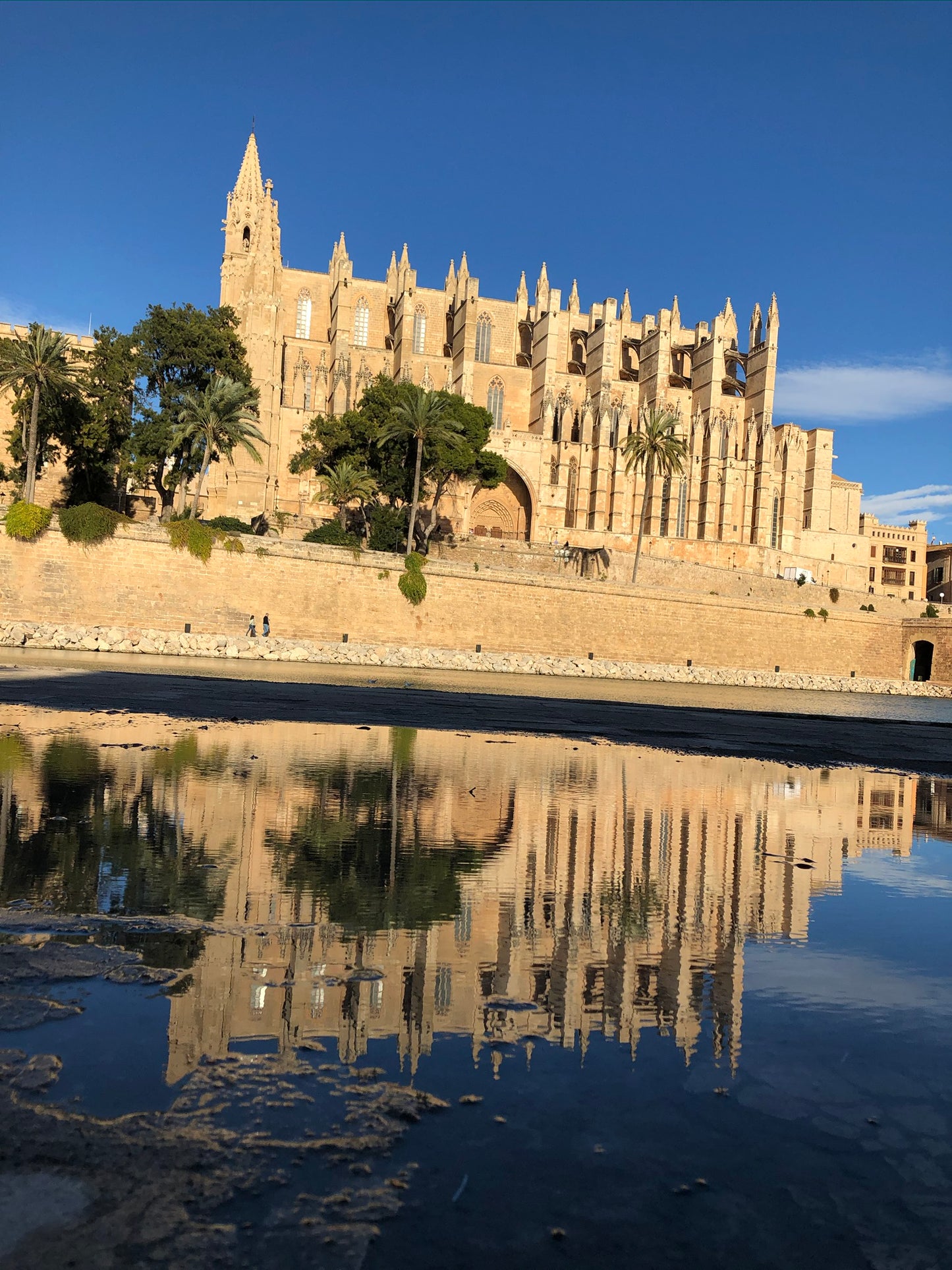 Guía: Emigración Mallorca